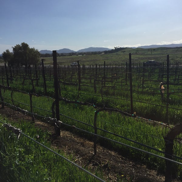 3/25/2018 tarihinde Gabe R.ziyaretçi tarafından Doffo Winery'de çekilen fotoğraf