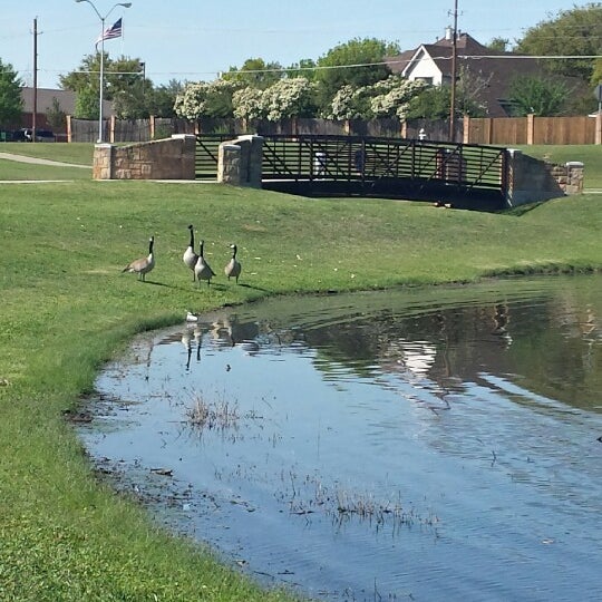 Towne Lake Park Activities