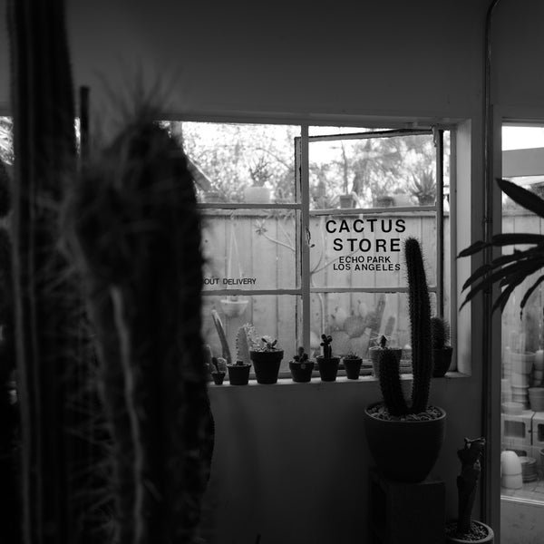 Photo taken at Cactus Store by A.J. B. on 7/13/2017