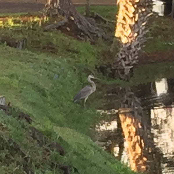 Photo taken at St. Augustine Beach KOA by Kate S. on 3/29/2016