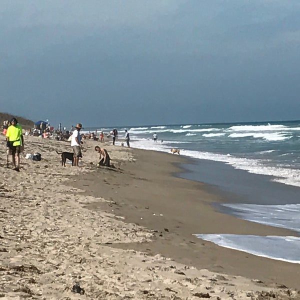 Walton Rocks Beach Dog Park Beach In Jensen Beach