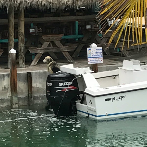 Photo taken at Geiger Key Marina by Kate S. on 2/16/2017