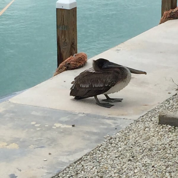 Photo taken at Geiger Key Marina by Kate S. on 2/7/2016