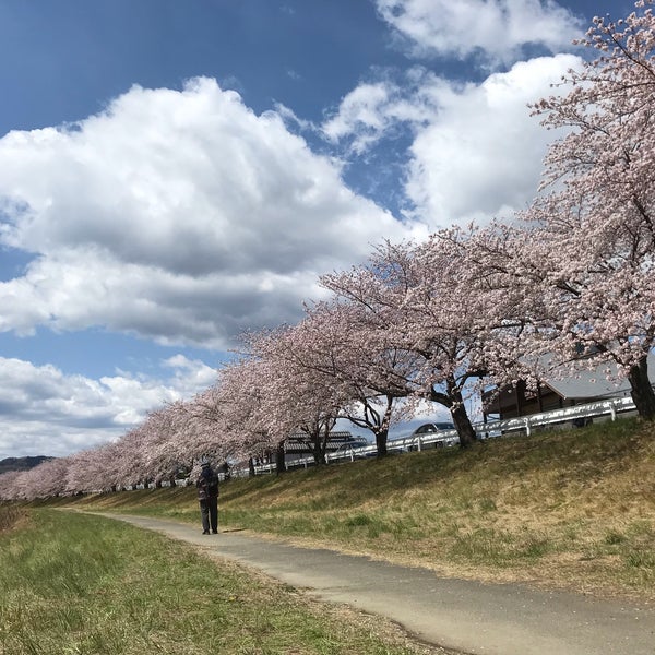 Photos At 児玉千本桜 Tree