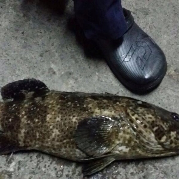 Tanjung Fishing Village Johor Bahru, Johor