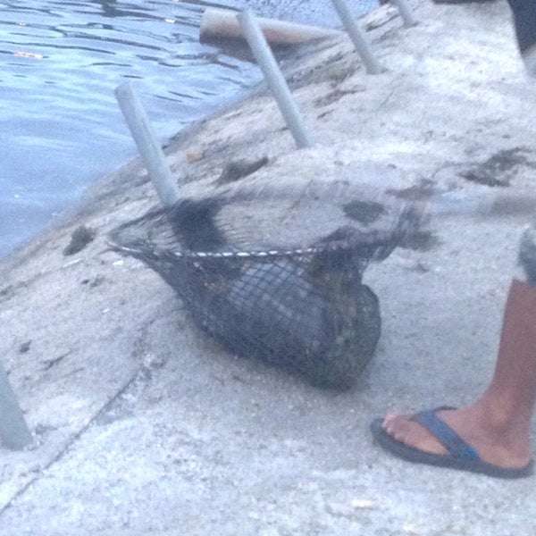 Tanjung Fishing Village Johor Bahru, Johor