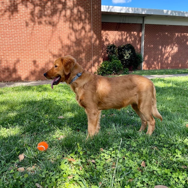 Sedgefield Middle School Middle School in Charlotte