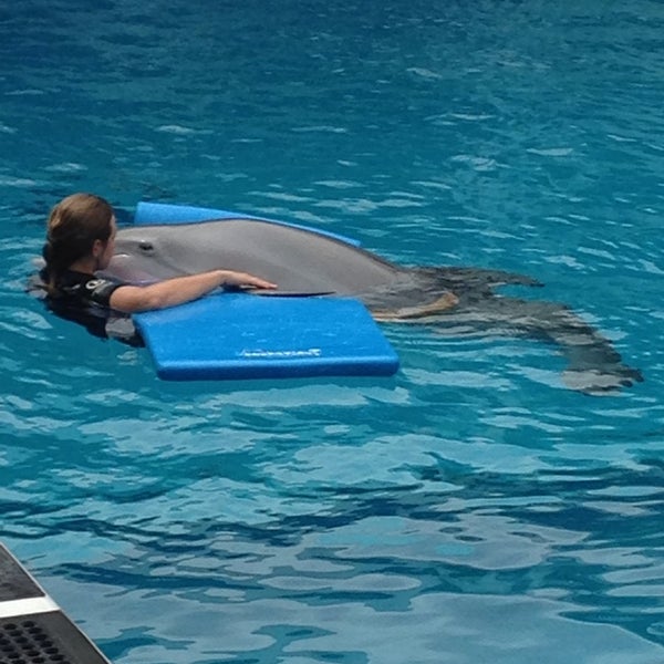 Photo taken at Winter&#39;s Dolphin Tale Adventure by Katie A. on 6/2/2014