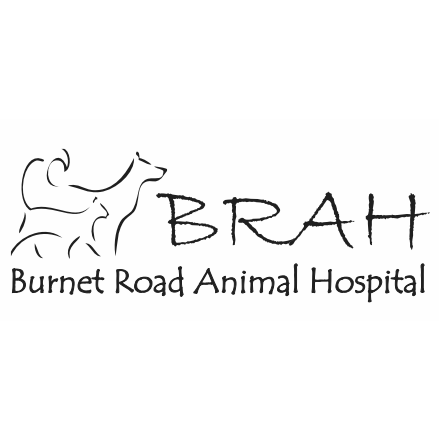 รูปภาพถ่ายที่ Burnet Road Animal Hospital โดย Burnet Road Animal Hospital เมื่อ 6/9/2014