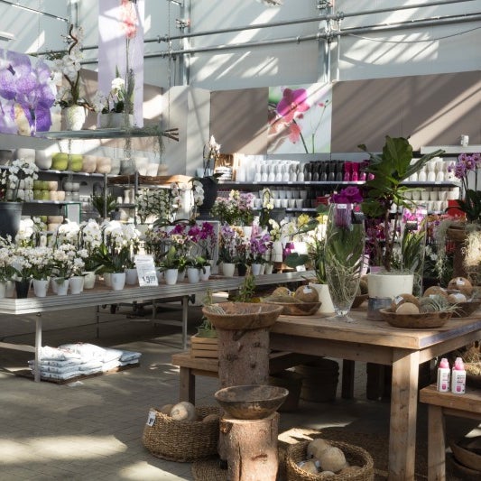 Gartencenter Kremer Flower Shops in Lüdenscheid