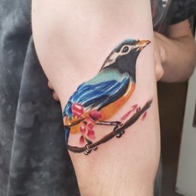 Gulf Coast Professional Tattoo 10442 Front Beach Rd Panama City Beach FL Tattoos Piercing MapQuest #31 Gulf Coast Professional Tattoo 10442 Front Beach Rd Panama City Beach FL Tattoos Piercing MapQuest