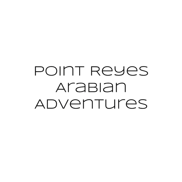 Photo taken at Point Reyes Arabian Adventures by Yext Y. on 9/21/2016