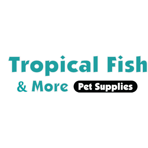 tropical fish and more
