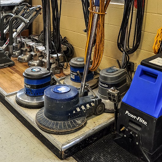 Фиалка satin wine. Фиалка optimara ever love. Nedelka echols vocal. Фиалка optimara ever beautiful. Optimara ever joy.