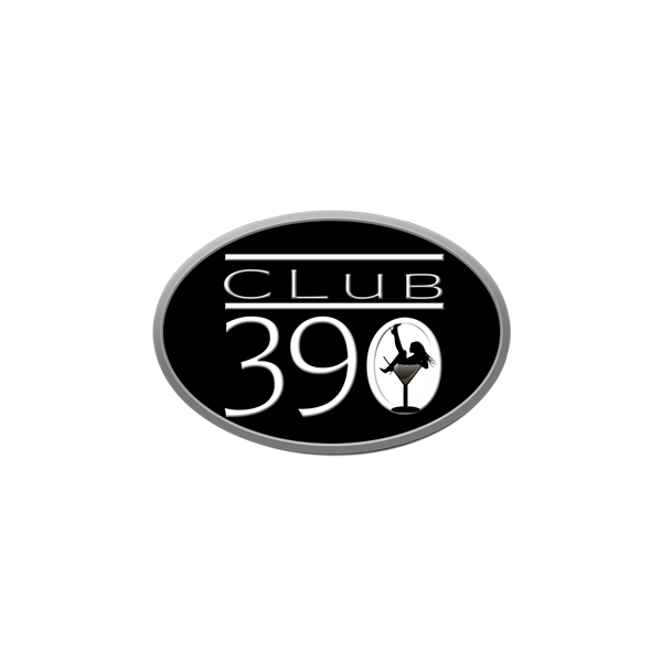 Club 390 chicago heights il