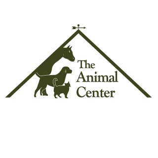 Animal centre. Общественная баня заветы ильича. Animal centre. Animal centre. Animal centre.