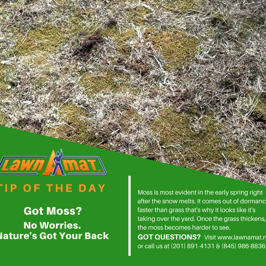 Lawn A Mat Corporate Headquarters Milford Pa