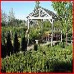 Creekside Garden Center And Nursery - Garden Center In Fort Collins