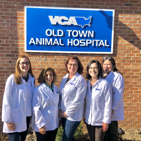 VCA Old Town Animal Hospital - Braddock Road Metro - Alexandria, VA