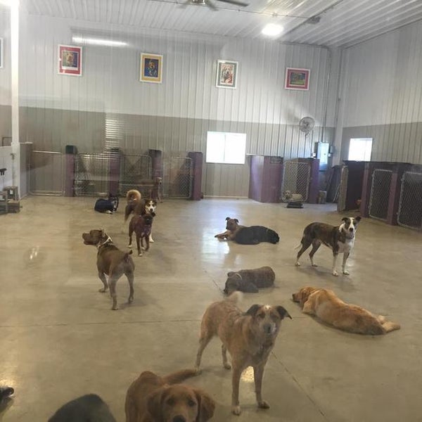 Happy tails pet grooming and best sale boarding