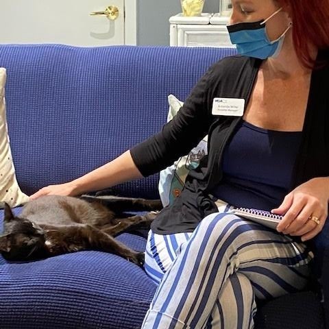 VCA Carrollwood Cat Hospital 13305 Orange Grove Dr