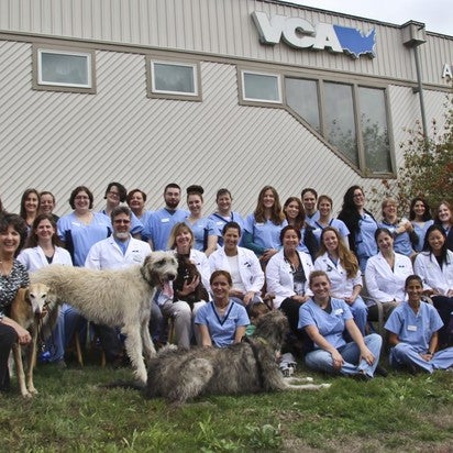 Photos at VCA Wakefield Animal Hospital - Wakefield, MA