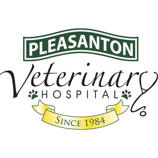 Pleasanton Veterinary Hospital 37 visitors