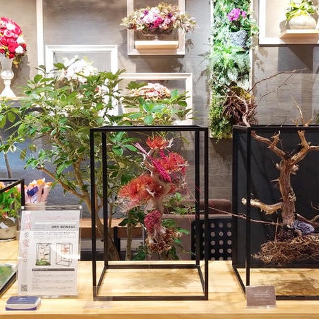 日比谷花壇 大手町プレイス イーストタワー店 大手町 0 Tavsiye