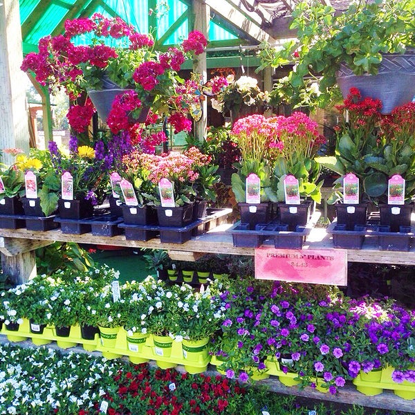 Photo taken at Central Wholesale Nursery by Yext Y. on 5/31/2017