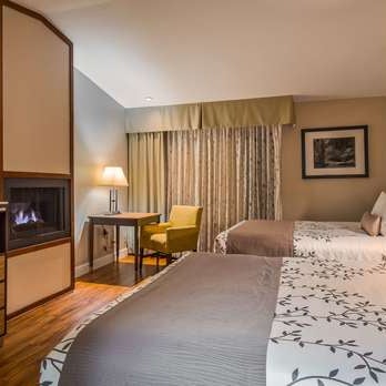 Photos At Best Western Plus Forest Park Inn 8 Tips