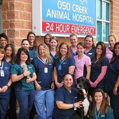 oso creek veterinary hospital