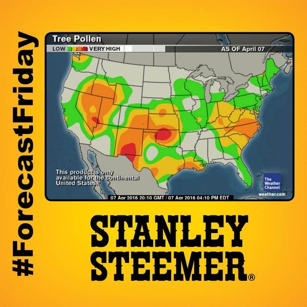 Stanley Steemer Home Service