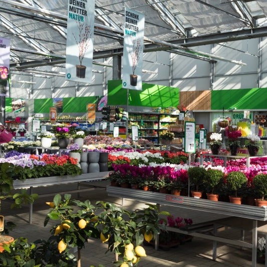 Gartencenter Kremer Ludenscheid Die Arche Ludenscheid E V 2020 03 06