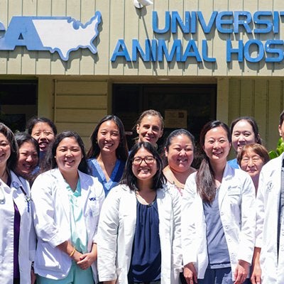 VCA University Animal Hospital - Manoa - 3 tips