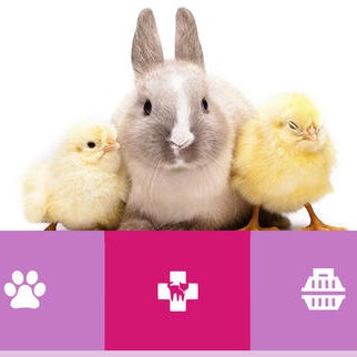barbie veterinaria y su granja