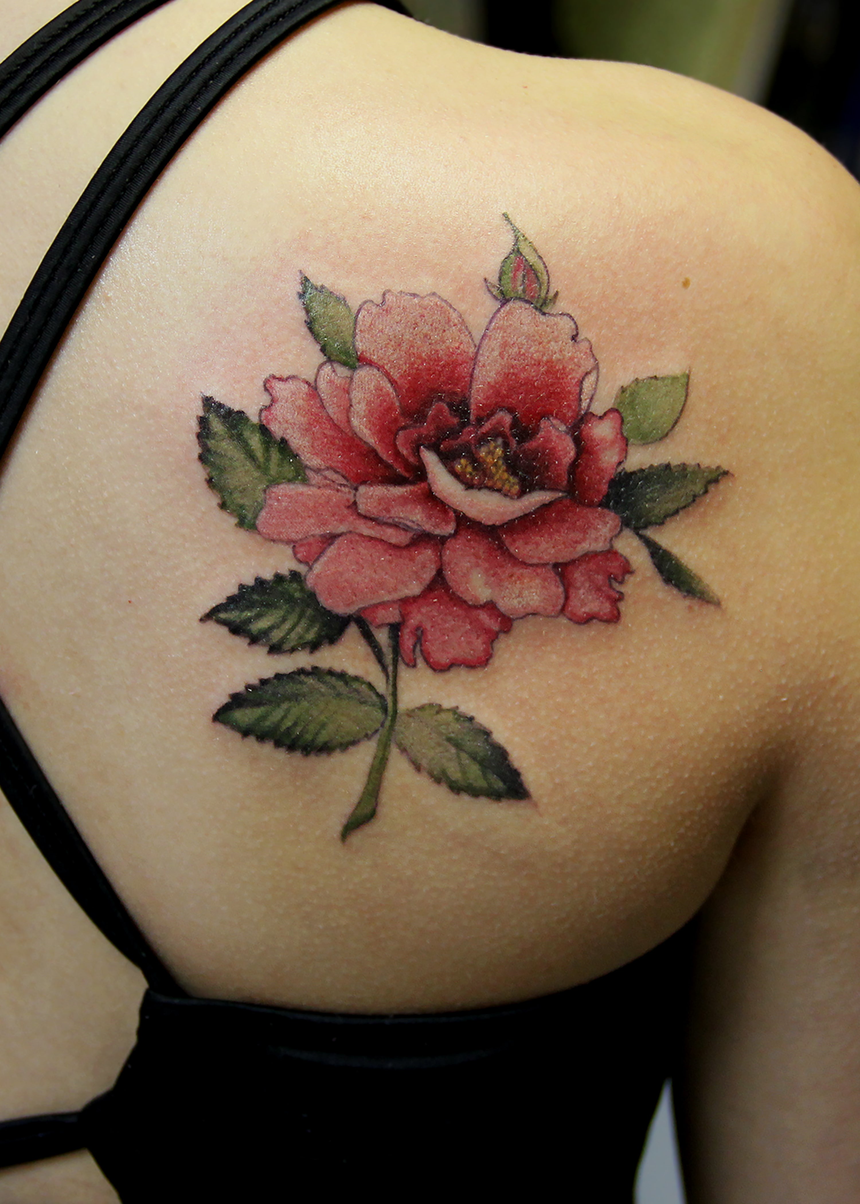 Belle Rose Tattoo Belle Rose Tattoo