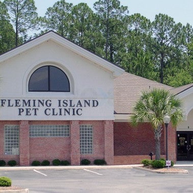 Orange Park, FL, fleming island bird & pet clinic,fleming island bi...