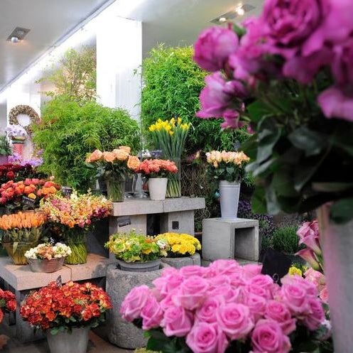 der blumenladen - 1 tip