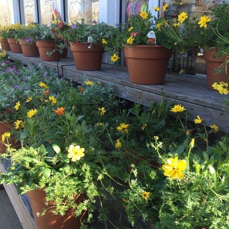 Photos At Timothy S Center For Gardening 1185 Us Highway 130