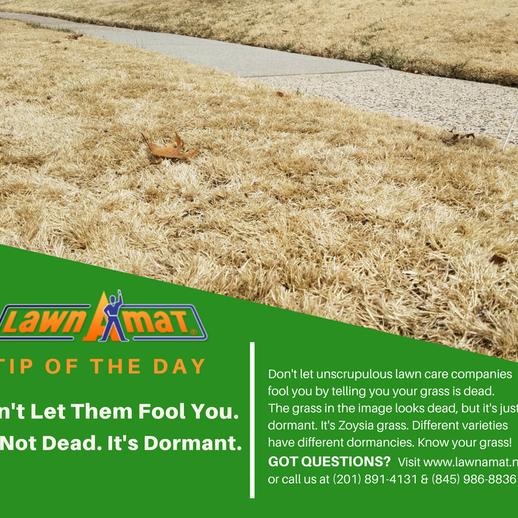 Photos At Lawn A Mat Corporate Headquarters Milford Pa