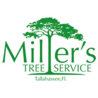 Дерево миллера. E&S Tree service.