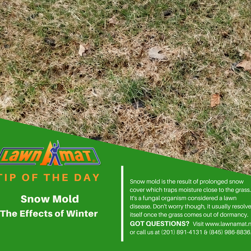 Photos At Lawn A Mat Corporate Headquarters Milford Pa