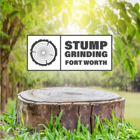 Homemade Stump Grinder