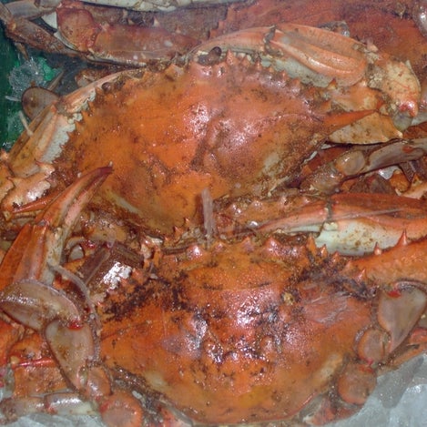 9/13/2018에 Yext Y.님이 Blue Claw Seafood &amp; Crab Eatery에서 찍은 사진