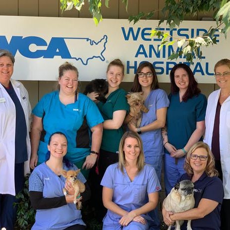 VCA Westside Animal Hospital - Southwest Santa Rosa - Santa Rosa, CA VCA Westside Animal Hospital - Southwest Santa Rosa - Santa Rosa, CA
