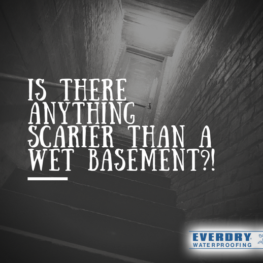 9 EverDry of Rochester NY ideas  rochester ny, rochester, waterproofing  basement