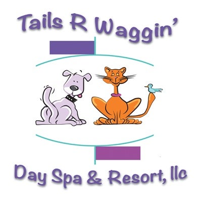 Tails a waggin store pet resort