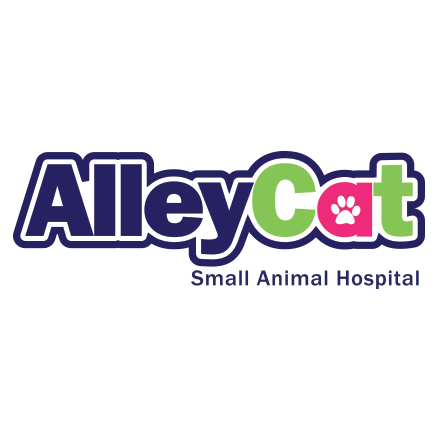 alley cat small animal hospital