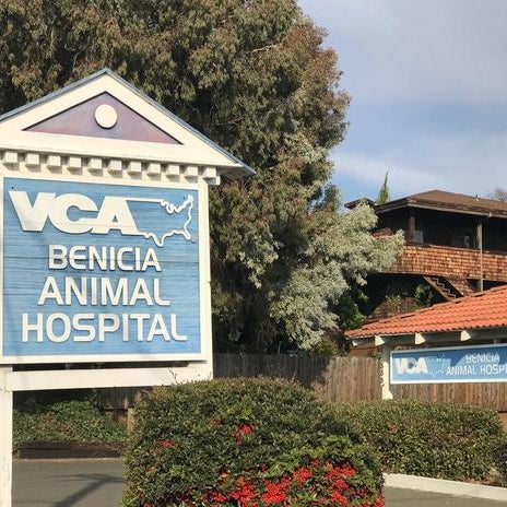 VCA Benicia Animal Hospital - Veterinarian in Benicia