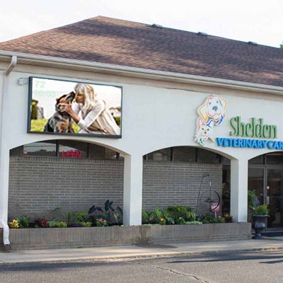 fairleigh animal hospital bardstown road